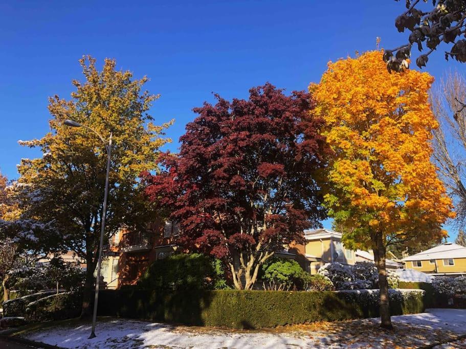Super Cosy 8Bed & 6Bath In Vancouver Heart Near To Airport And Downtown Ngoại thất bức ảnh